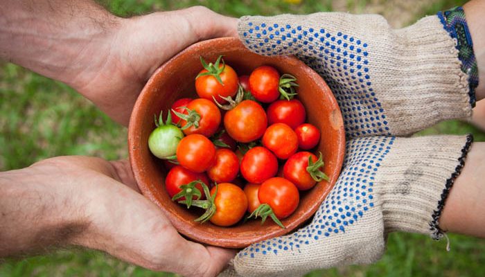 elaine-casap-qgHGDbbSNm8b