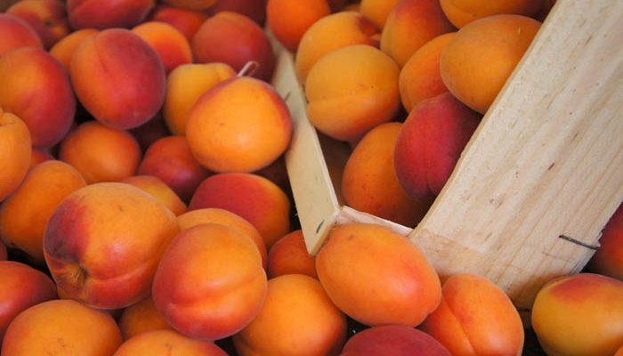 respati-triatmodjo-cbfj8rNXy2Ab